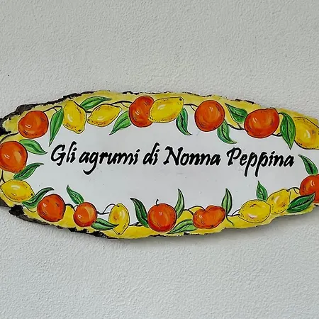 Gli Agrumi Di Nonna Peppina - Limoni Mondragone
